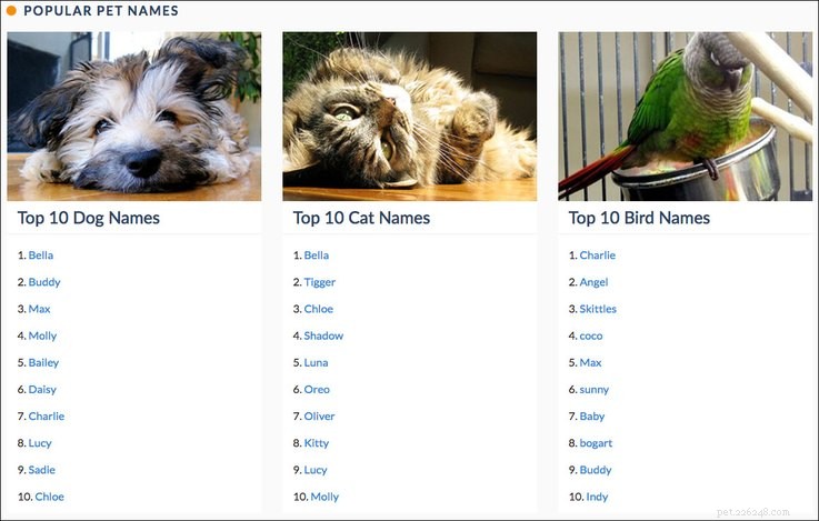 I nomi di cani più popolari in ogni stato
