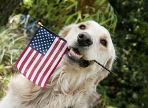 130 patriotiska namn för husdjur