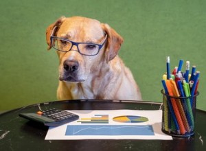 Är avgifter för adoption av husdjur avdragsgilla?