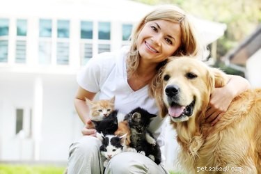 Руководство для начинающих по воспитанию кошек и собак