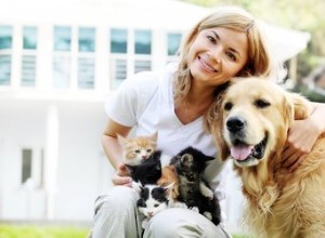Руководство для начинающих по воспитанию кошек и собак