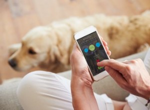 De beste adoptie-apps om u te helpen uw droomhond te vinden