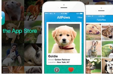 당신이 꿈꾸는 강아지를 찾는 데 도움이 되는 최고의 입양 앱