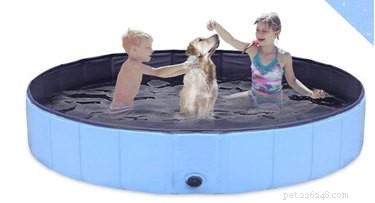 3 H2O-doolhofopties voor honden die nog niet klaar zijn om te zwemmen