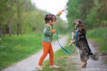 Suggerimenti dell addestratore:cani e bambini