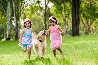 Je v pořádku vzít děti do psího parku?