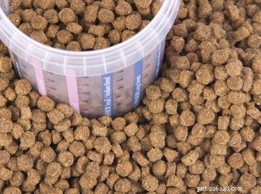 犬にどれくらいの乾物を与えるべきですか？ 