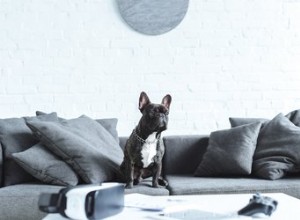 Pourquoi mon chien s est-il soudainement mis à uriner sur les meubles ?