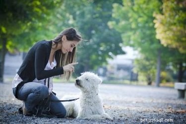 Как научить собаку защищать вас
