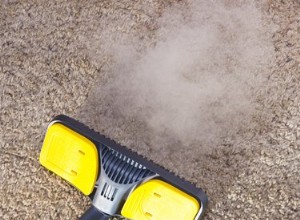Comment éliminer l odeur d urine de chien des tapis avec un nettoyeur vapeur