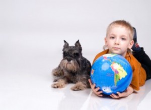 Hoe een therapiehond of -kat te certificeren