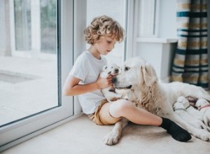 Een moederhond aanmoedigen om haar puppy s te voeren