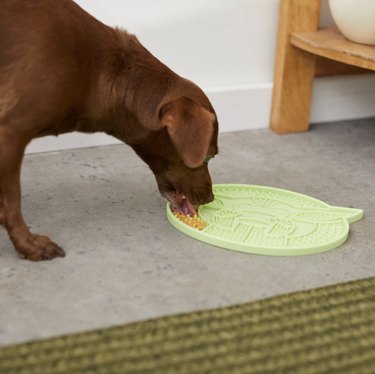I migliori tappetini da leccare per cani