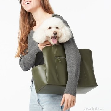 Le migliori borse per cani