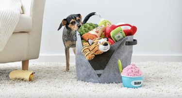 As melhores cestas de armazenamento de brinquedos para cães em 2022