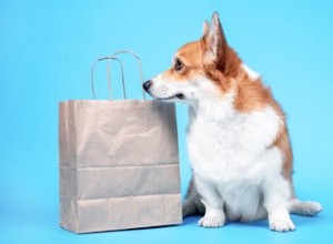 Nejlepší nabídky Amazon Black Friday na produkty pro psy
