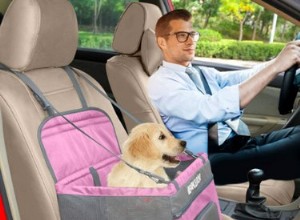 Os 5 melhores assentos de carro para cães pequenos