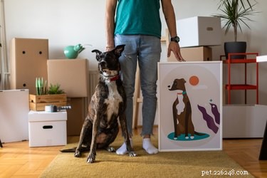 De beste Etsy-winkels voor aangepaste huisdierportretten