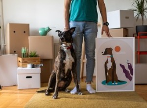 De beste Etsy-winkels voor aangepaste huisdierportretten