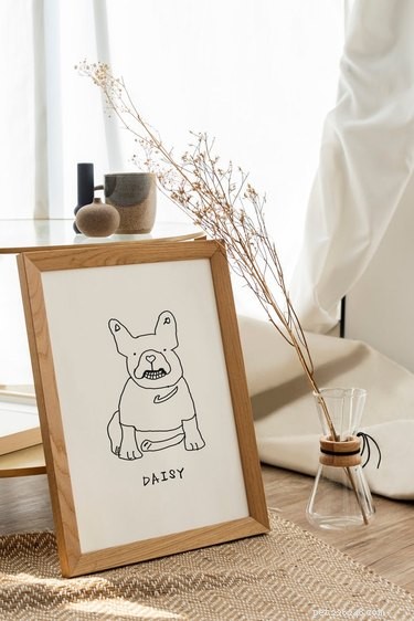 As melhores lojas Etsy para retratos personalizados de animais de estimação