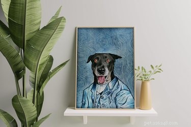 Лучшие магазины Etsy для пользовательских портретов домашних животных