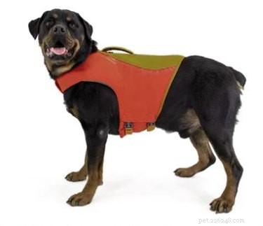 Les meilleurs gilets de sauvetage pour chien pour nager en toute sécurité