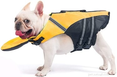 De bästa hundräddningsvästar för säker simning