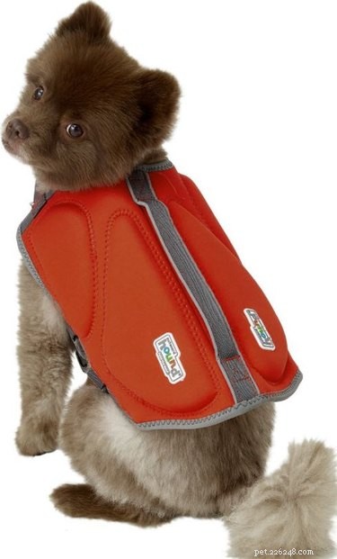 Лучшие спасательные жилеты для собак для безопасного плавания