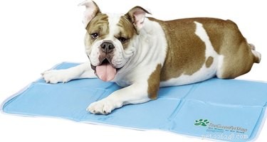 5 лучших охлаждающих подушек для ваших собак и кошек летом