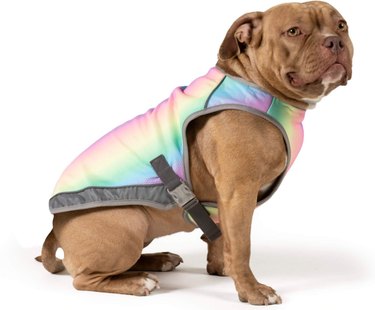 Nejlepší chladící vesty pro psy pro tepelnou ochranu