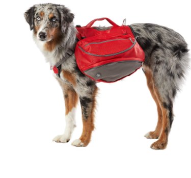 As melhores mochilas e equipamentos para cães para passeios de um dia
