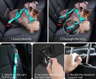 7 housses de siège arrière et ceintures de sécurité pour chiens