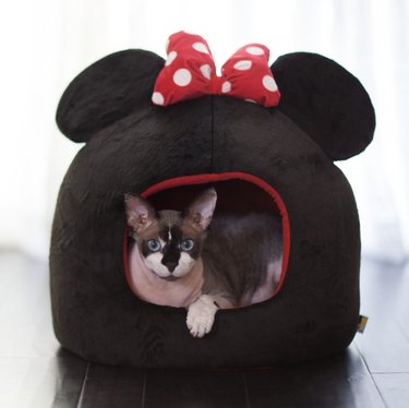5つの超かわいいミッキーマウスと友達の犬と猫のベッド 