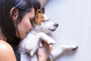 Почему люди держат домашних животных?