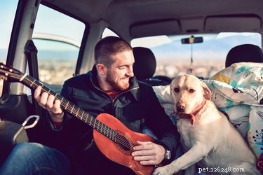 Houdt mijn hond ervan als ik zing, of ben ik gewoon vol van mezelf?