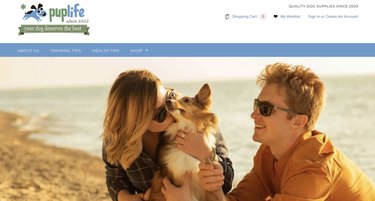 6 z nejlepších online obchodů s potřebami pro psy (kromě Amazonu)