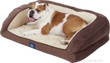 As 6 melhores camas para cães idosos