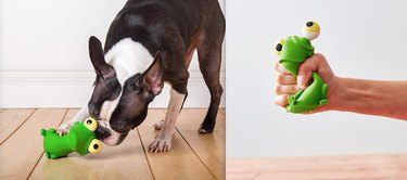 かわいらしさのおすすめ：タフなチューワーのための7つの丈夫な犬のおもちゃ 