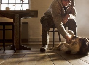 Proč je mazlení se psem terapeutické?