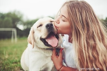 Waarom is het aaien van een hond therapeutisch?