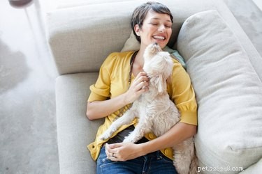 Por que acariciar um cão é terapêutico?