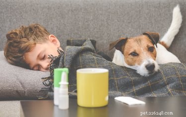 Знает ли моя собака, когда я болен?