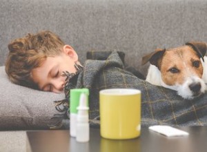 Ví můj pes, když jsem nemocný?