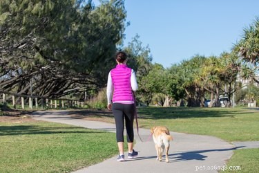 Studie:Hundägare får mer motion