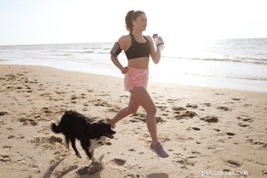 Исследование:владельцы собак получают больше упражнений