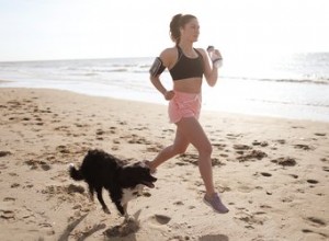 研究：犬の飼い主はより多くの運動をする 