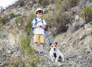 Suggerimenti per l escursionismo con un cane