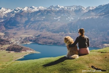 Tipy pro pěší turistiku se psem