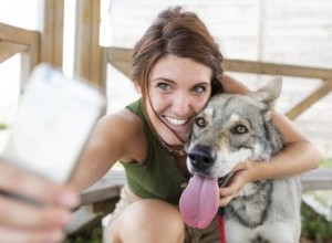 Weet mijn hond wanneer ik een foto van haar maak?