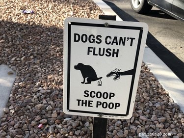 Is het oké om de poep van je hond in de vuilnisbakken van andere mensen te gooien?